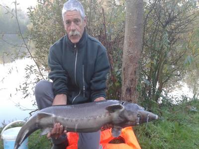 Juju peche a la carpe en normandie