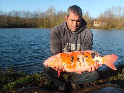 Monica peche a la carpe en normandie