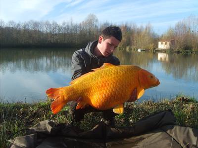 Monica peche a la carpe en normandie