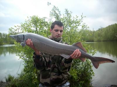 Monica peche a la carpe en normandie