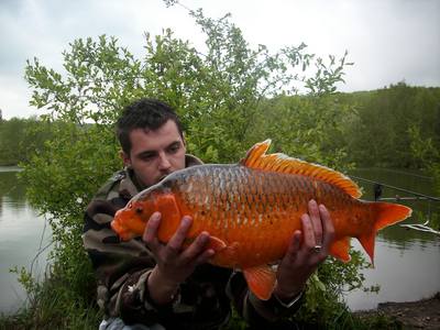 Monica peche a la carpe en normandie