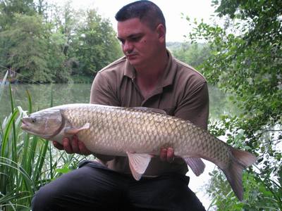 Pads Lake peche a la carpe en normandie