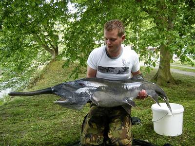 Pads Lake peche a la carpe en normandie