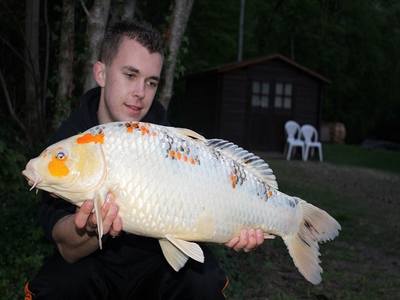 Pads Lake peche a la carpe en normandie