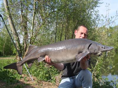 Pads Lake peche a la carpe en normandie