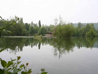 Pads Lake peche a la carpe en normandie