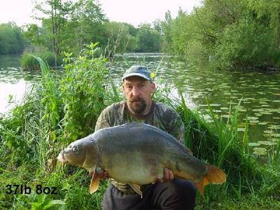 Pads Lake peche a la carpe en normandie