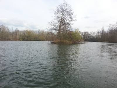 Pads Lake peche a la carpe en normandie